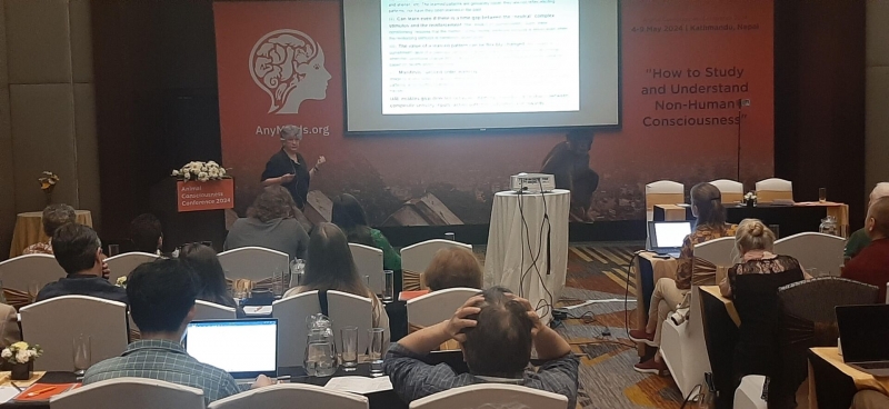 Эволюционист Яблонка: сознание &ndash; свойство биологических существ, не ИИ