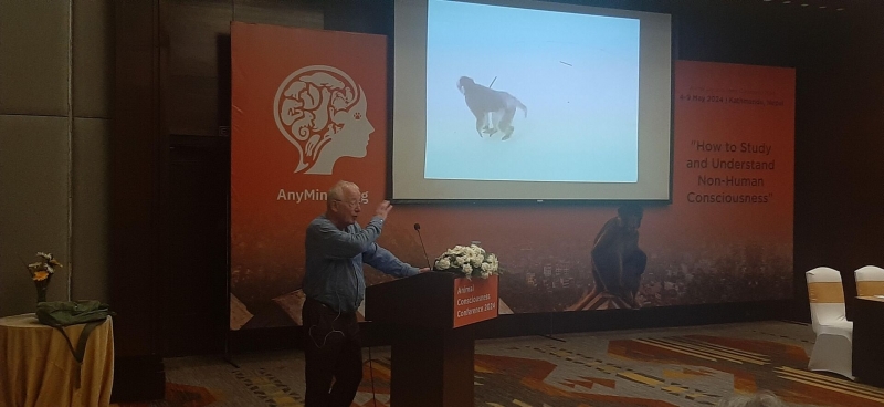 Нейропсихолог Хамфри: о сознании животных, человека и ИИ