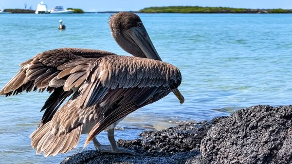 Обзор смартфона HUAWEI Pura 70 Ultra: съемка быстро движущихся предметов