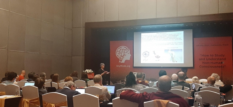 Эволюционист Яблонка: сознание &ndash; свойство биологических существ, не ИИ