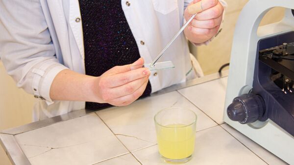 Инсулин и куриные желудки. В России предложен новый метод борьбы с диабетом