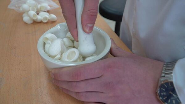 В России предложили создавать необычный шелк