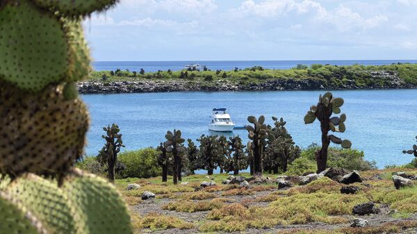 Обзор смартфона HUAWEI Pura 70 Ultra: съемка быстро движущихся предметов