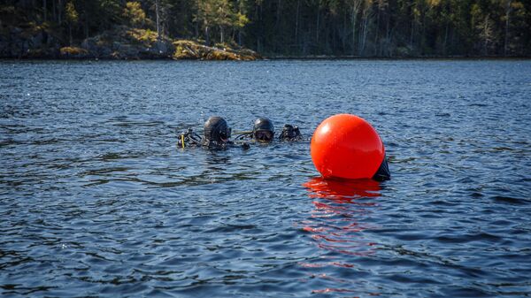 Поиск вооруженным глазом. Ученые помогают искать колокола на дне Ладоги