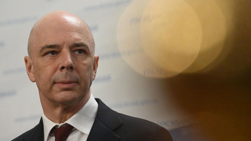 Глава Wildberries оценила идею прогрессивной шкалы налогообложения