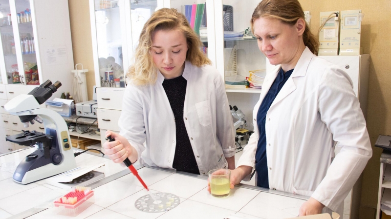 Инсулин и куриные желудки. В России предложен новый метод борьбы с диабетом