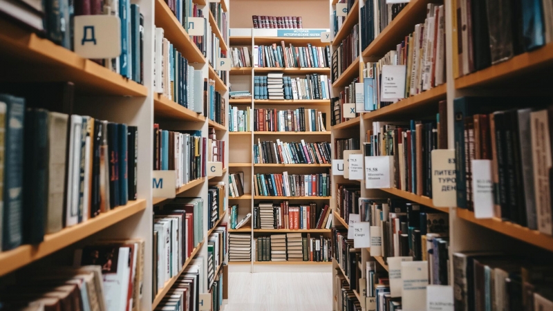 СМИ: в Европе произошла массовая кража изданий русской классики