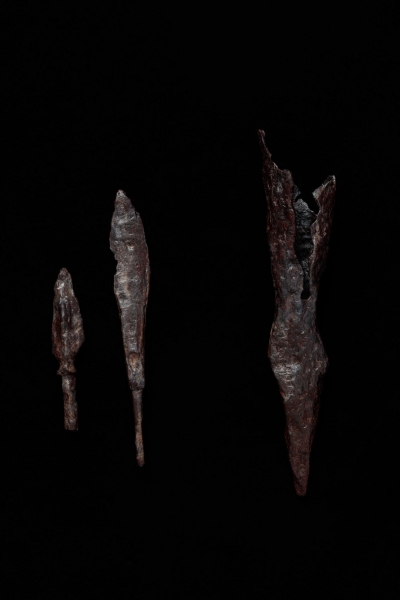 Уникальный элемент оружия времен Дмитрия Донского нашли под Тулой