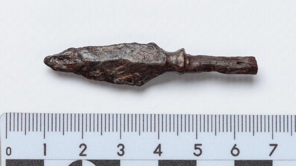 Уникальный элемент оружия времен Дмитрия Донского нашли под Тулой