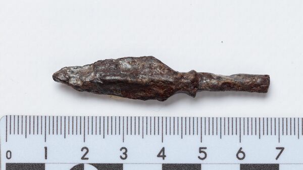 Уникальный элемент оружия времен Дмитрия Донского нашли под Тулой