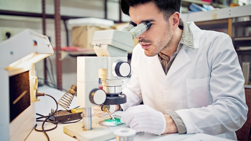 Ученые предложили цитрусовую замену сельскохозяйственным ядам