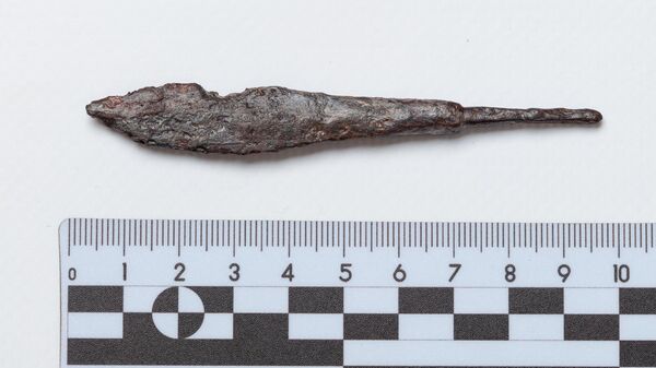 Уникальный элемент оружия времен Дмитрия Донского нашли под Тулой