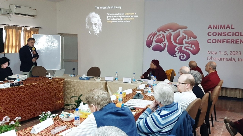 Изучение мозга как гиперсети поможет понять душу