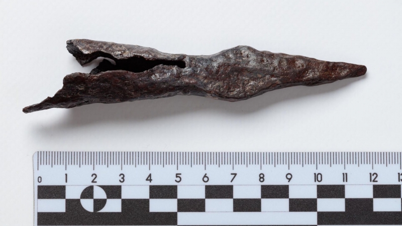 Уникальный элемент оружия времен Дмитрия Донского нашли под Тулой