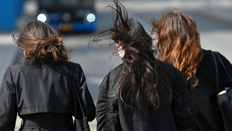 "Все началось с фильма". Российские ученые нашли способ усмирить погоду