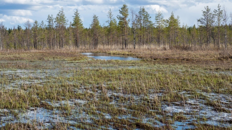 В Сибири нашли мощный источник метана