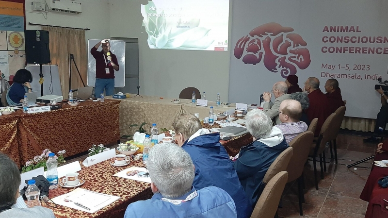 Академик Анохин: человек не одинок в мире сознания