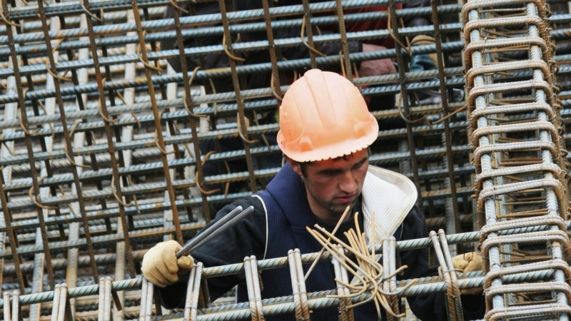 Сельхозпредприятие на Кубани увеличило выработку на 17% по нацпроекту