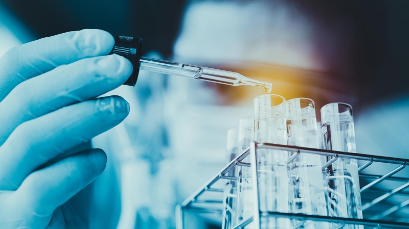 В России придумали, как повысить урожай гороха