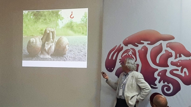 Академик Анохин: человек не одинок в мире сознания