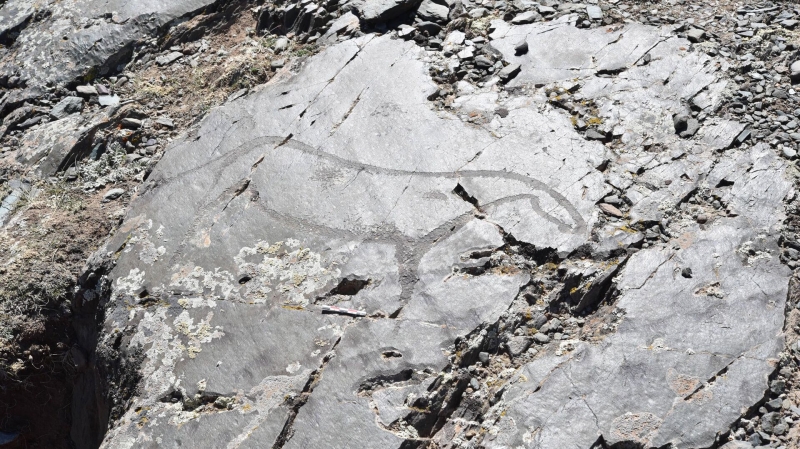 Ученые выяснили, как в Якутии появилось "кладбище мамонтов"