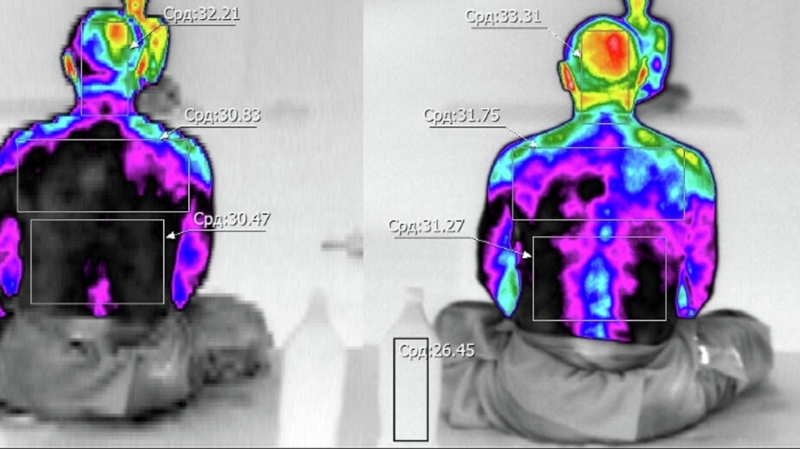 Академик Анохин: человек не одинок в мире сознания