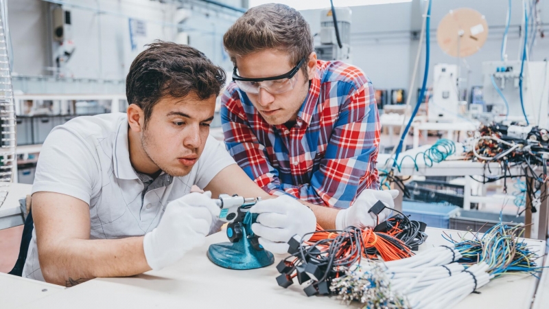 Ученые предложили цитрусовую замену сельскохозяйственным ядам