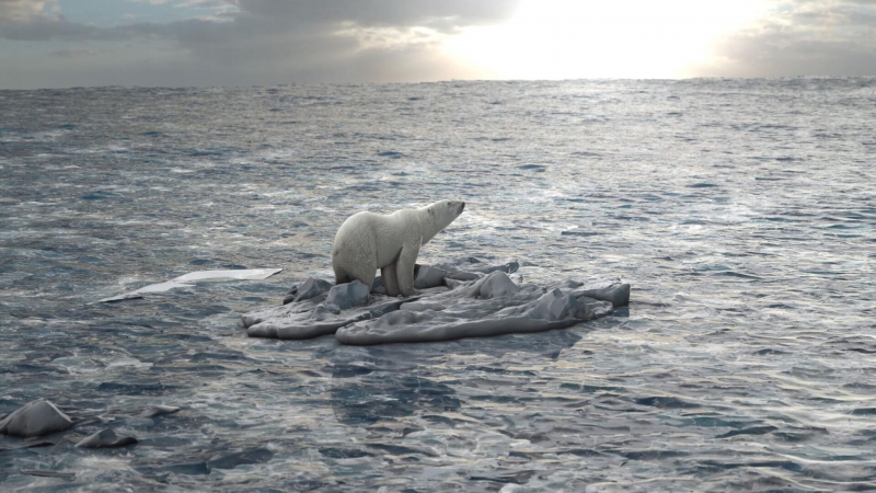 "Северный полюс" может стать площадкой для сотрудничества, заявил эксперт