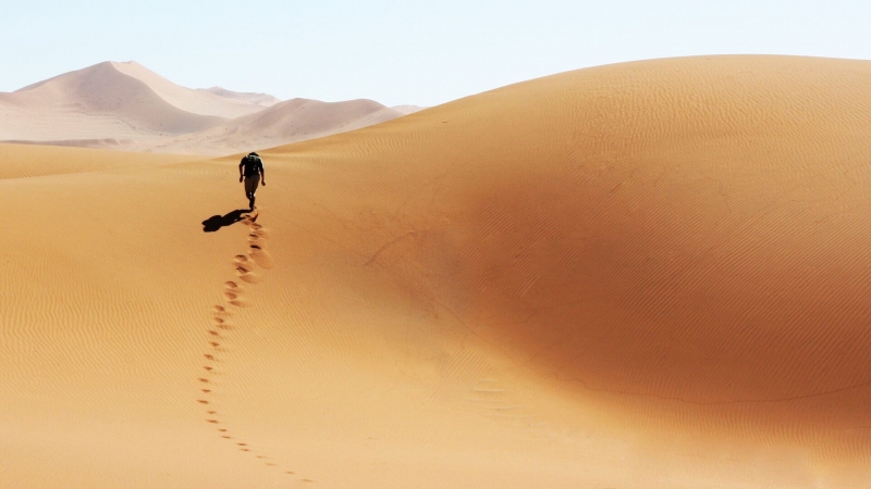 В Гидрометцентре назвали июнь самым жарким в истории метеонаблюдений