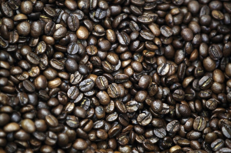 "Расплата будет жестокой". Разрушен миф о главном пристрастии россиян