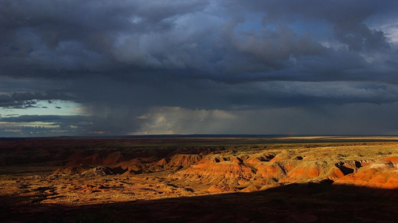 Климатолог раскрыл, как потепление климата повлияет на Россию