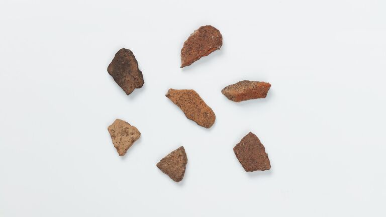 Неведомый народ. В России нашли городище старше 2200 лет