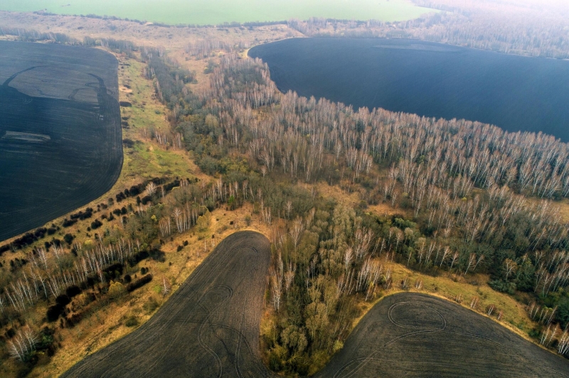 Брестская крепость XVI века. Итоги трех лет раскопок Судбищенской битвы