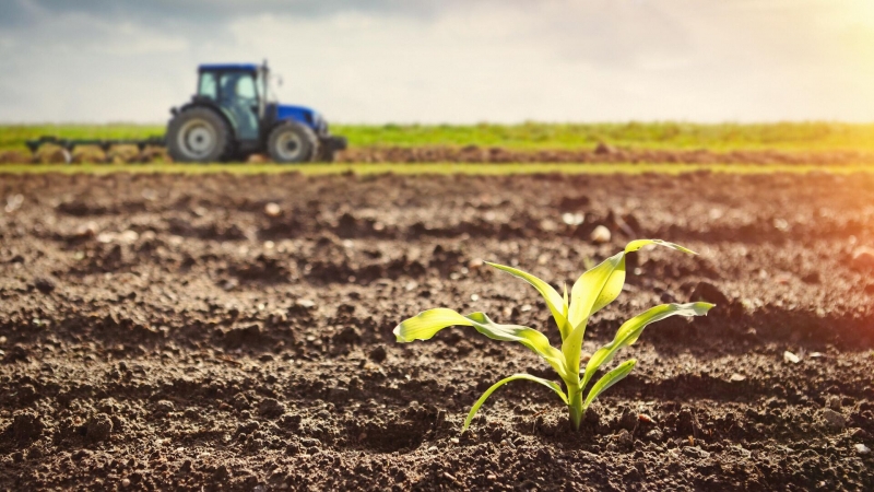 Ученые впервые установили нормы содержания токсичного теллура в почве