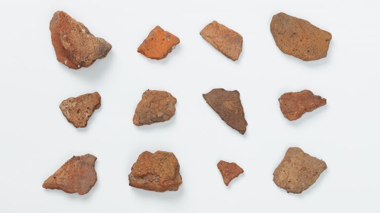 Неведомый народ. В России нашли городище старше 2200 лет