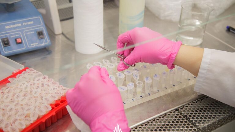 Ученые впервые установили нормы содержания токсичного теллура в почве