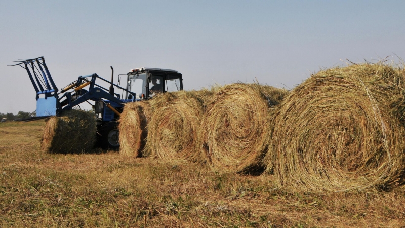 Российские ученые создали биотопливо из соломы