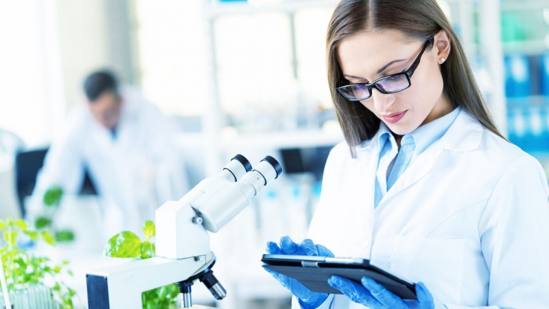 В России предложили новый способ повышения урожая земляники