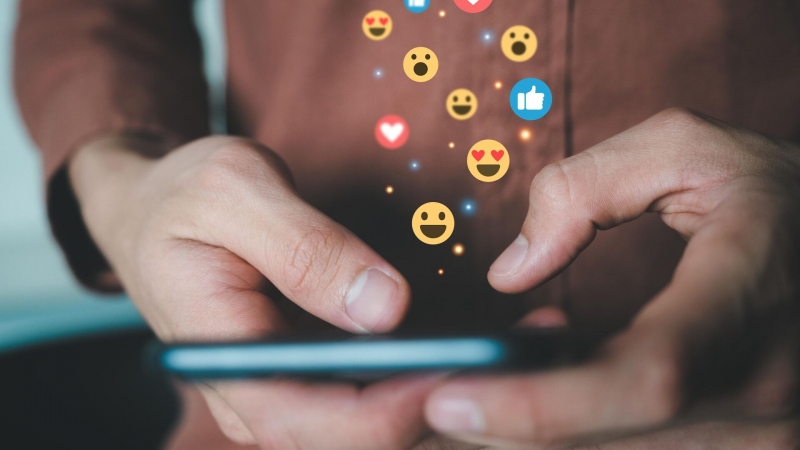 Пользователи ВКонтакте рассказали, сколько времени проводят на даче