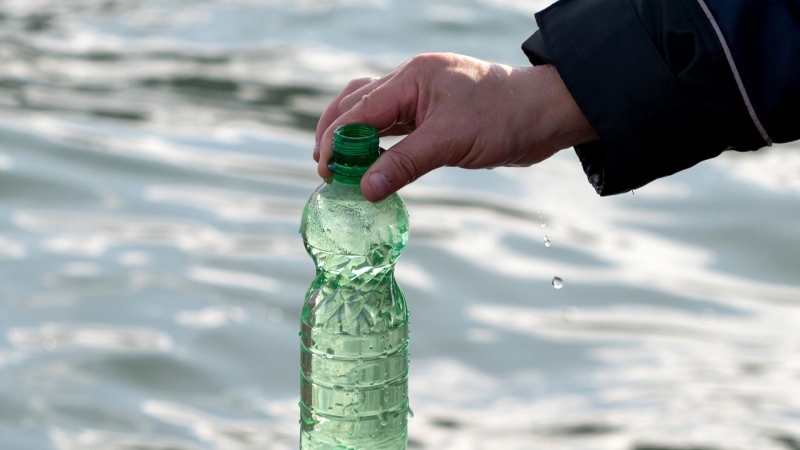 Ученые изучают влияние медицинских масок на морских беспозвоночных