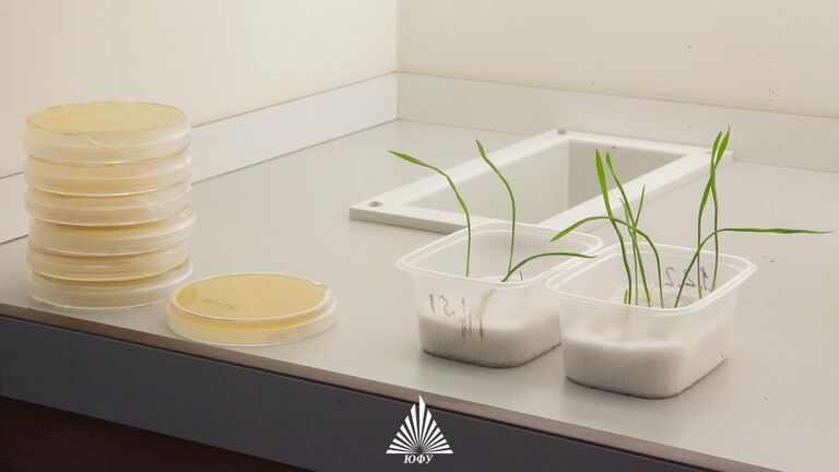 Ученые впервые установили нормы содержания токсичного теллура в почве