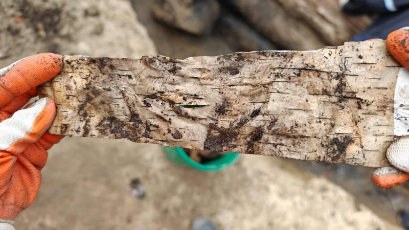 В Якутске обнаружили уникальные берестяные грамоты XVII века