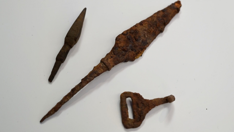 Брестская крепость XVI века. Итоги трех лет раскопок Судбищенской битвы