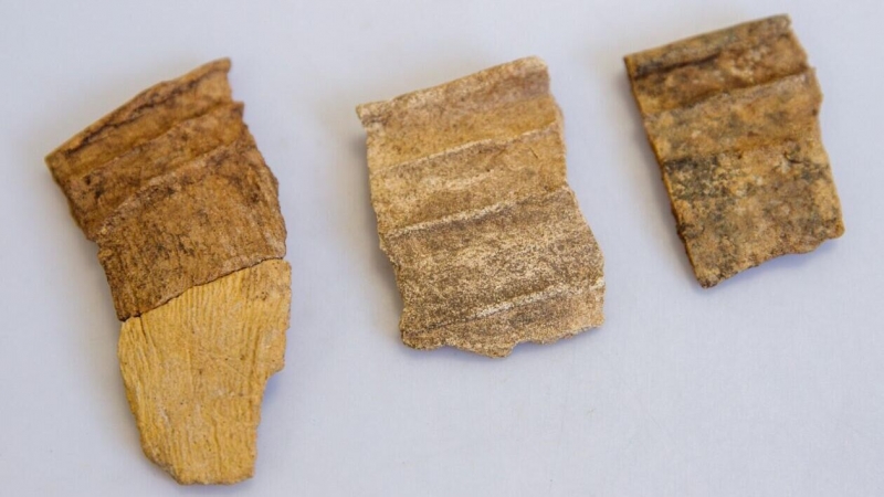 Ученые нашли способ датировать артефакты с помощью угля