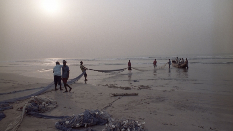 "Переломный момент". Ученые испугались критических изменений на Земле