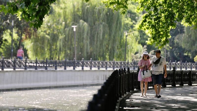 В России разрабатывают препараты, управляющие гибелью больных клеток