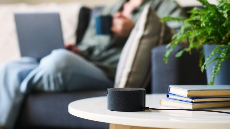Названы самые удобные для россиян устройства с голосовыми помощниками