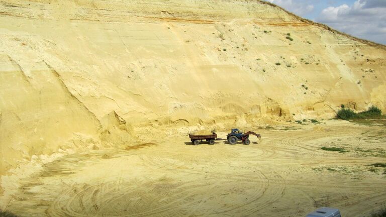 В России нашли зубы предка мегалодона