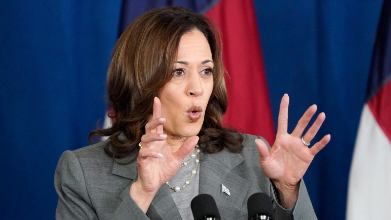 Харрис получила поддержку большинства демократов, заявили в США