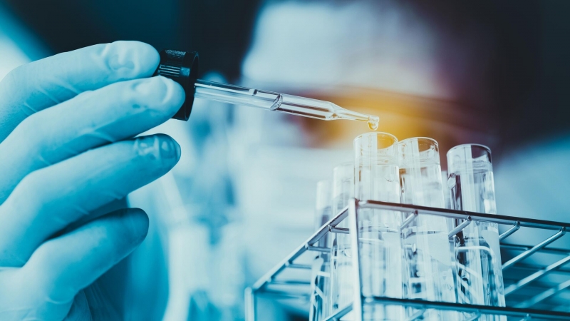 В Башкирии ученые намерены лечить раны паутиной паука-птицееда